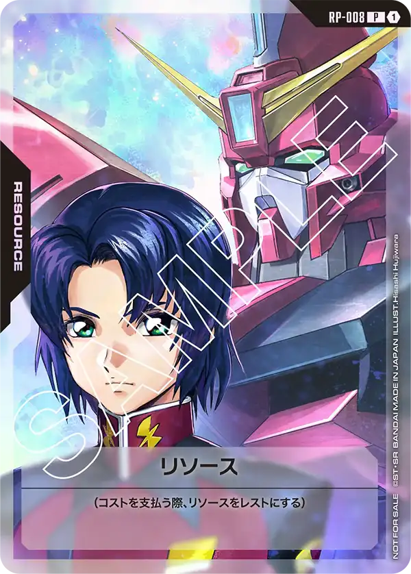 RP-008_リソース