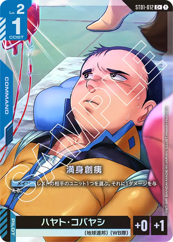 ST01-012_p1_満身創痍