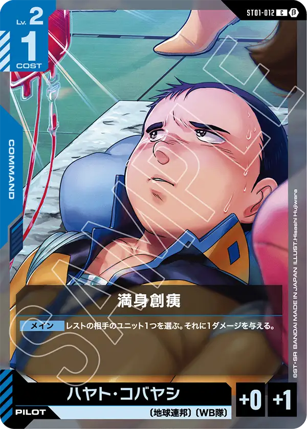ST01-012_p2_満身創痍