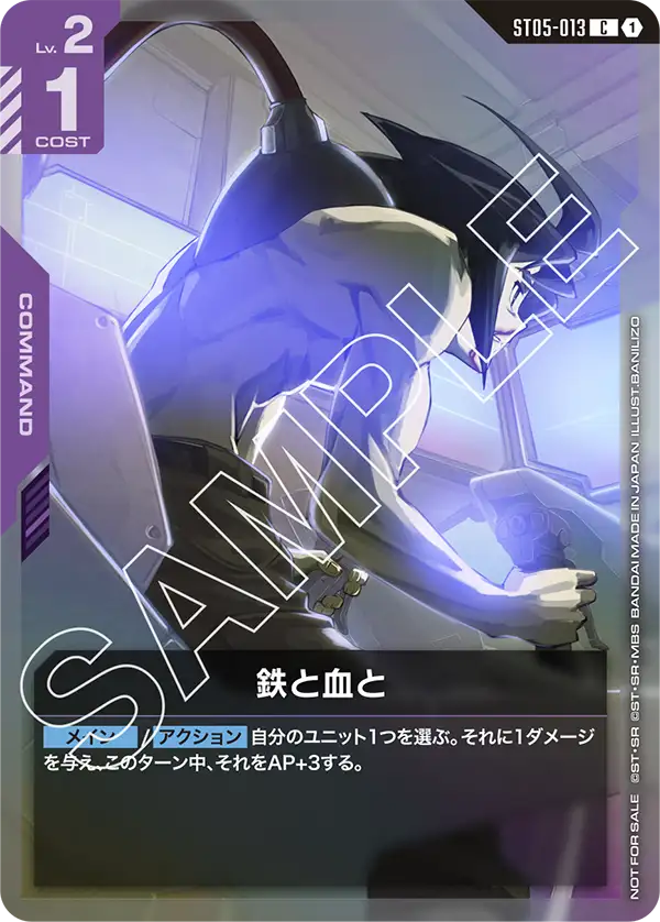 ST05-013_p2_鉄と血と