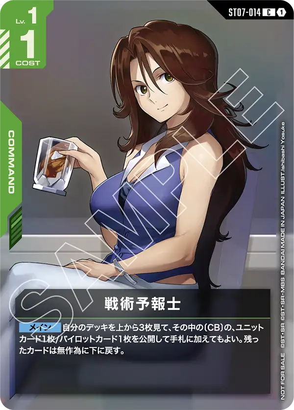 ST07-014_p2_戦術予報士