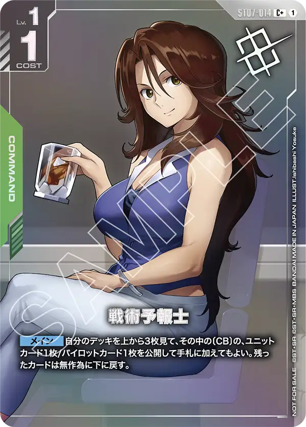 ST07-014_p3_戦術予報士