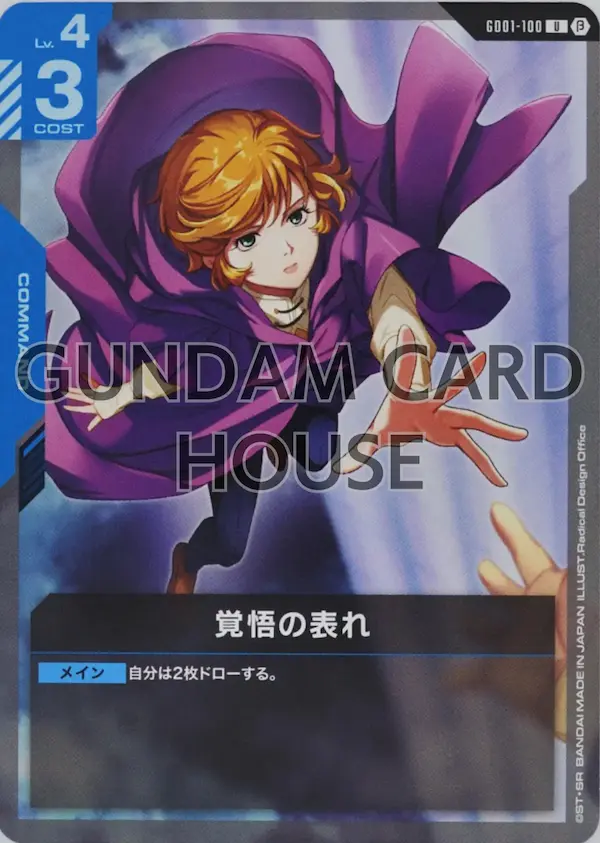 GD01-100_p2_覚悟の表れ
