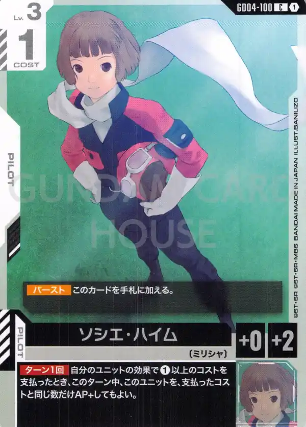 GD04-100_ソシエ・ハイム