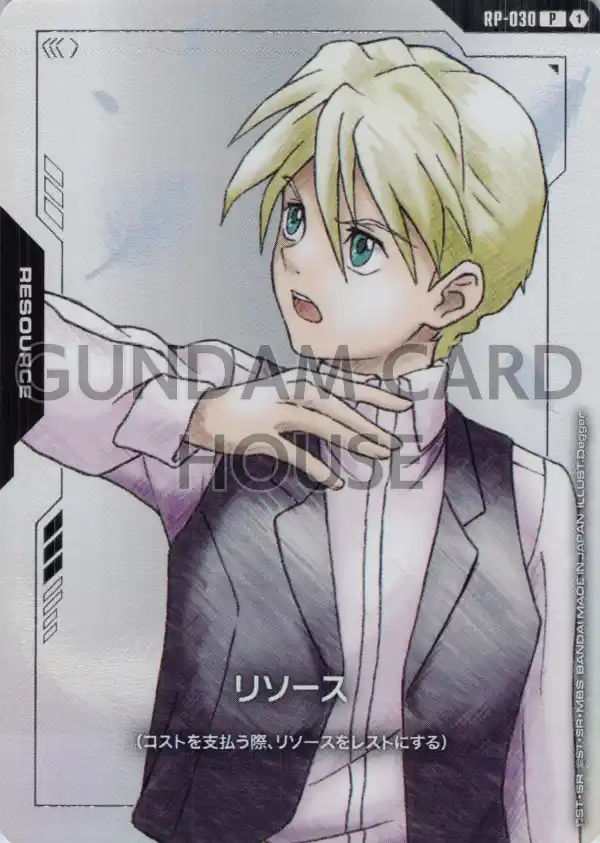 RP-030_リソース