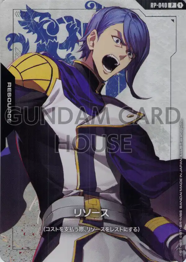 RP-040_リソース