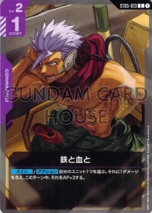 ST05-013_鉄と血と